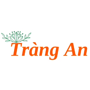 Trang An Vietnamese Restaurant in Dresden Trang An Vietnamese Restaurant - Dresden